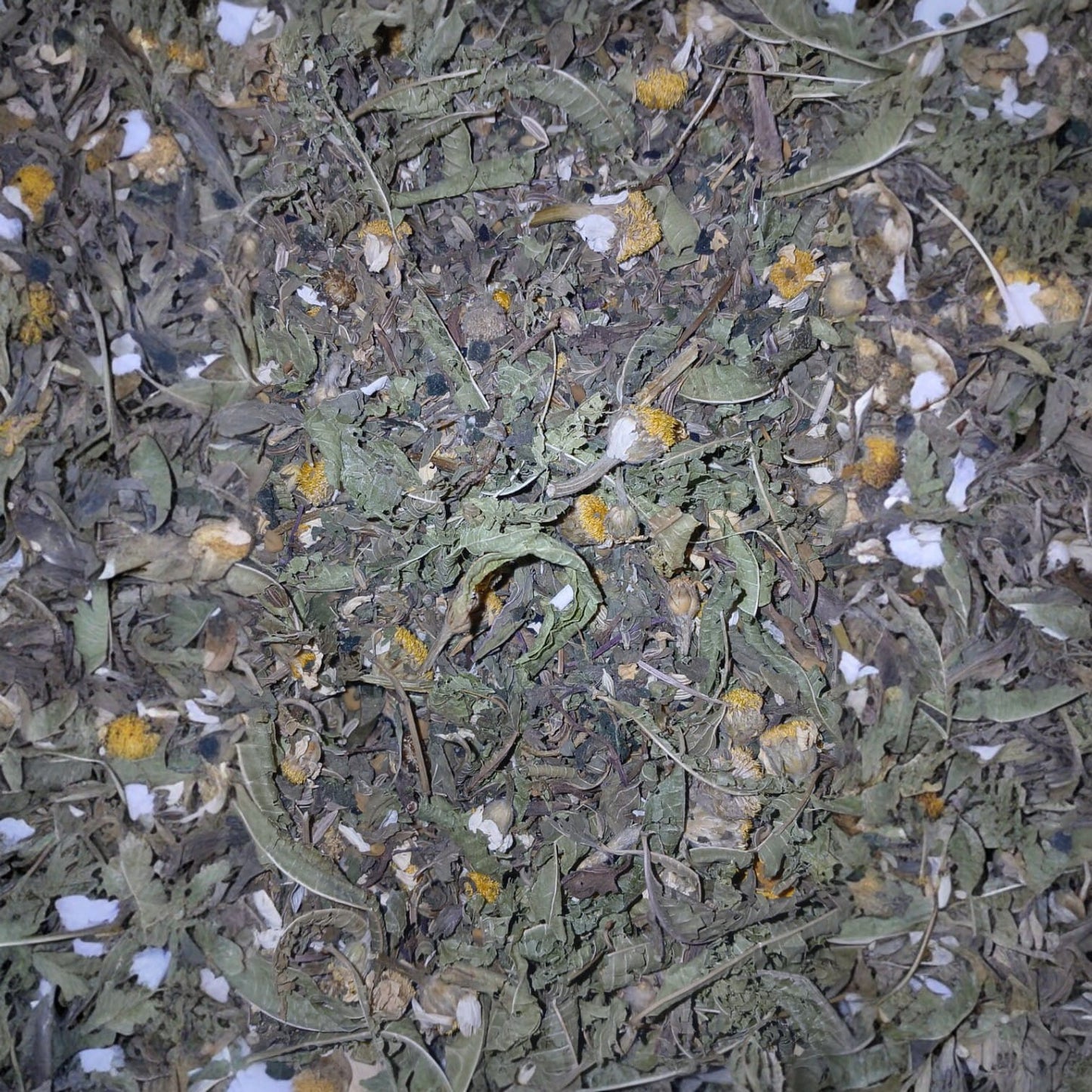 Tisane Allaitement