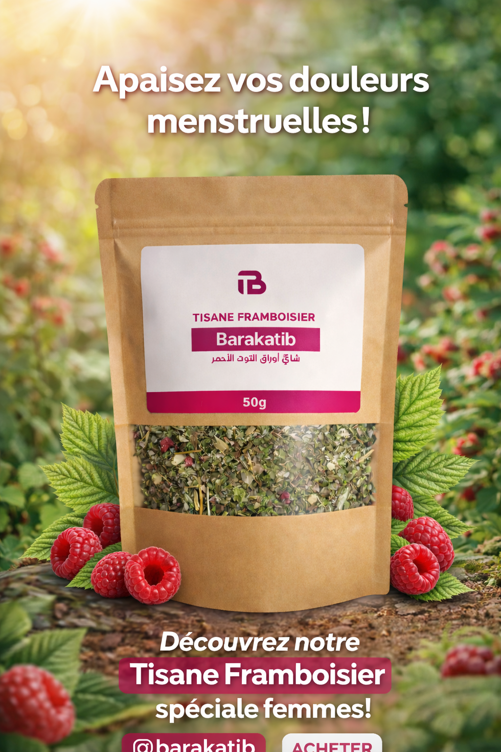 Tisane Framboisier